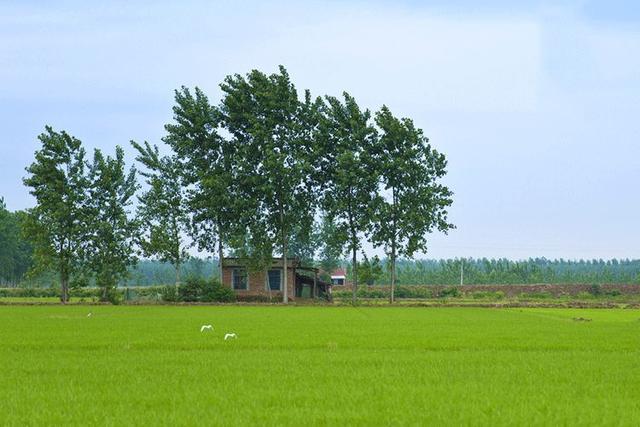 　優(yōu)雅的歐式三層自建別墅，優(yōu)雅的風(fēng)格，時尚的設(shè)計，一排排落地玻璃窗給整個別墅增添了神秘。