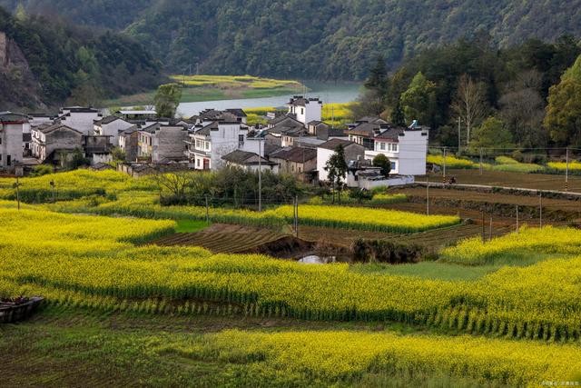 　一棟農(nóng)村自建別墅的實(shí)景是12米寬，二樓有一個(gè)車庫。費(fèi)用是40萬元。值得嗎？