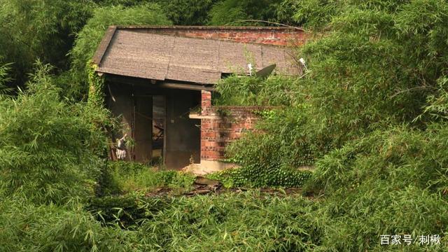 農(nóng)村的自營住宅